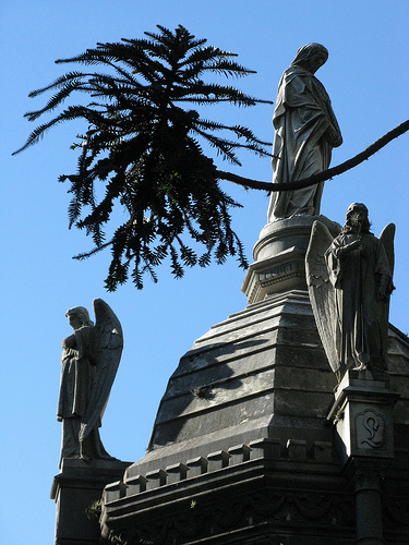 statues-palm